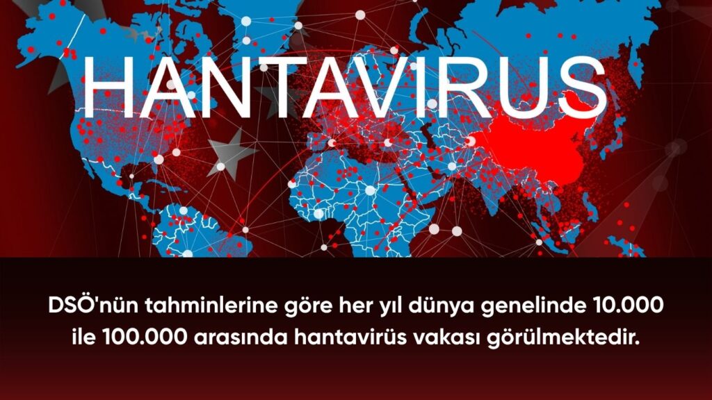 Hantavirüs Nedir? Tarihçesi, Bulaşma Yolları ve Fare Kontrolünün Hayati Önemi 3 Dünya Sağlık Örgütü Hantivirüs Verileri