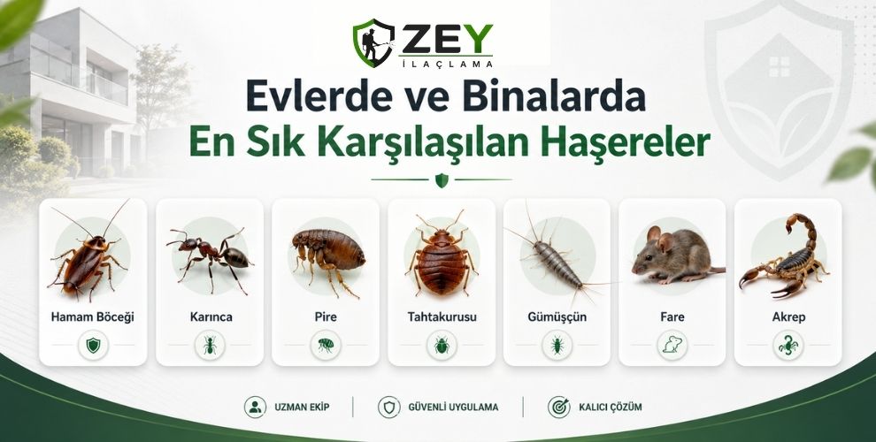Evlerde ve Binalarda En Sık Karşılaşılan Haşereler
